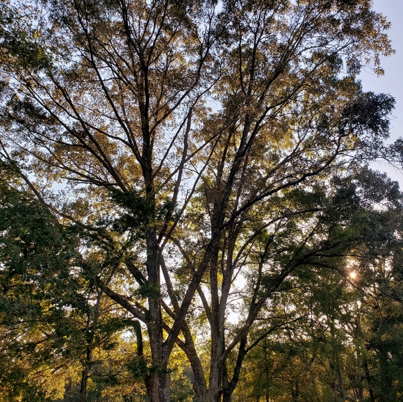 Meet Your Posher, Allie and Diane!! - Picture 2 of 8